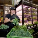 팜 마트 이미지