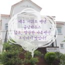 귤낭하우스25 이미지