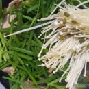 이집이좋겠네 2호점 이미지