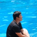 양지 농장2 이미지