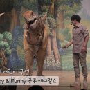 주니삼촌 공룡애니멀쇼 시즌2 이미지