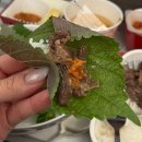 6033 | 호주 멜버른 아시아나 OZ6033 기내식 후기 + 와이파이 연결방법 Tip