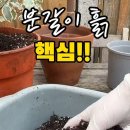 🟣🔴 분갈이흙의 가장 중요한 요소(통기성) : 펄라이트(Pearlite) 이미지