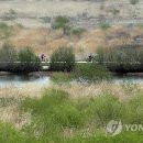 낙동강관리본부 대저생태공원 2 이미지