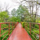 백두대간약초나라 이미지