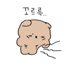 골드로드복싱 이미지