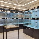 Happy 애견샵 이미지