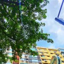 현대아파트 | 영동교집 압구정현대아파트직영점 후기｜제주 흑돼지 생삼겹살과 청국장까지 맛있는 압구정 삼겹살 맛집