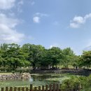 하루와이틀 이미지