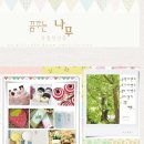 꿈꾸는나무 이미지