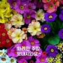 토요일 이미지