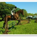 거창 오로라 승마장 이미지