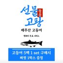 글라스안경 서귀포점 | 제주도 중문 기념품샵 제주 서귀포 소품샵 찾는다면 여기