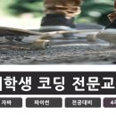 언어비전교육