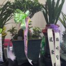 국가대표 유도체육관 2관 이미지