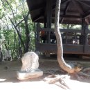 죽전동작은도서관 이미지