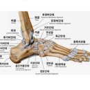 (주)광덕안정 이미지