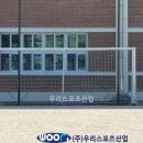 울산중앙초등학교 티스토리