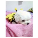 예쁜누리 이미지