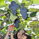 김기준농장 이미지