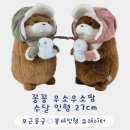 짱캐릭터 | 한파에 더 귀여운 우소우소짱｜꽁꽁 수달 인형 27cm 겨울 실물 후기