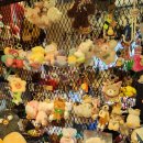 101마리 애견 | 서울 망원동 애견동반 가능 카페 비바쌀롱 인기 캐릭터 소품샵