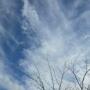 세계 그림책 문학기행 이미지