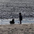 렛츠고강화캠핑 | 아이와 캠핑, 렛츠고강화캠핑장