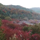 비밀의 정원 이미지