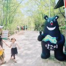지리산흙돼지와묵은지 | 지리산 노고단 다녀온 후기