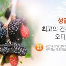 성일농장 이미지