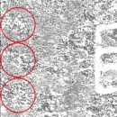 수도암신라비 이미지