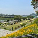 응봉체육공원 이미지