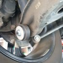 노스게러지 이미지