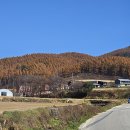 평화목장1 이미지