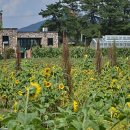 (주)아이들팜 이미지