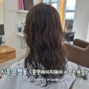은계디스퀘어큐브 | 은계지구 미용실 세팅펌 추천 플랜에이치헤어 시흥은계점 / 도담디자이너