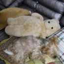 옹기종기 이미지