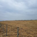 큰엉PC | ********-****제주여행/우리의네번째크리스마스기념🎅🎄🤶/둘째날