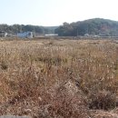 반월마을회관 이미지