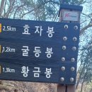 금오산(효자봉)_숲길(등산)1코스 | 경북 구미 금룡사~황금봉~굴등봉~치바위