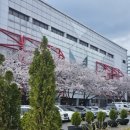 황대헌 | 쇼트트랙 직관후기, 신예 임종언 등장과 곽윤기의 은퇴...