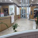 현대한증막 이미지