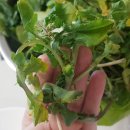 GreenFarm 이미지