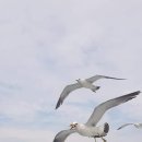 국토보상 행정사 사무소 이미지