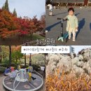 화랑스포츠 | 판교 화랑공원 아이와 함께 나들이 추천 주차