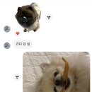 요염한닭발 이미지