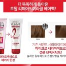 하루리페어 이미지