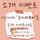 고아라 뷰티샵