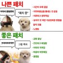 넥슨 아크 레이더스 패치근황 이미지